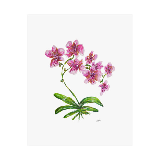 "Bloom" Print - 8'' x 10''