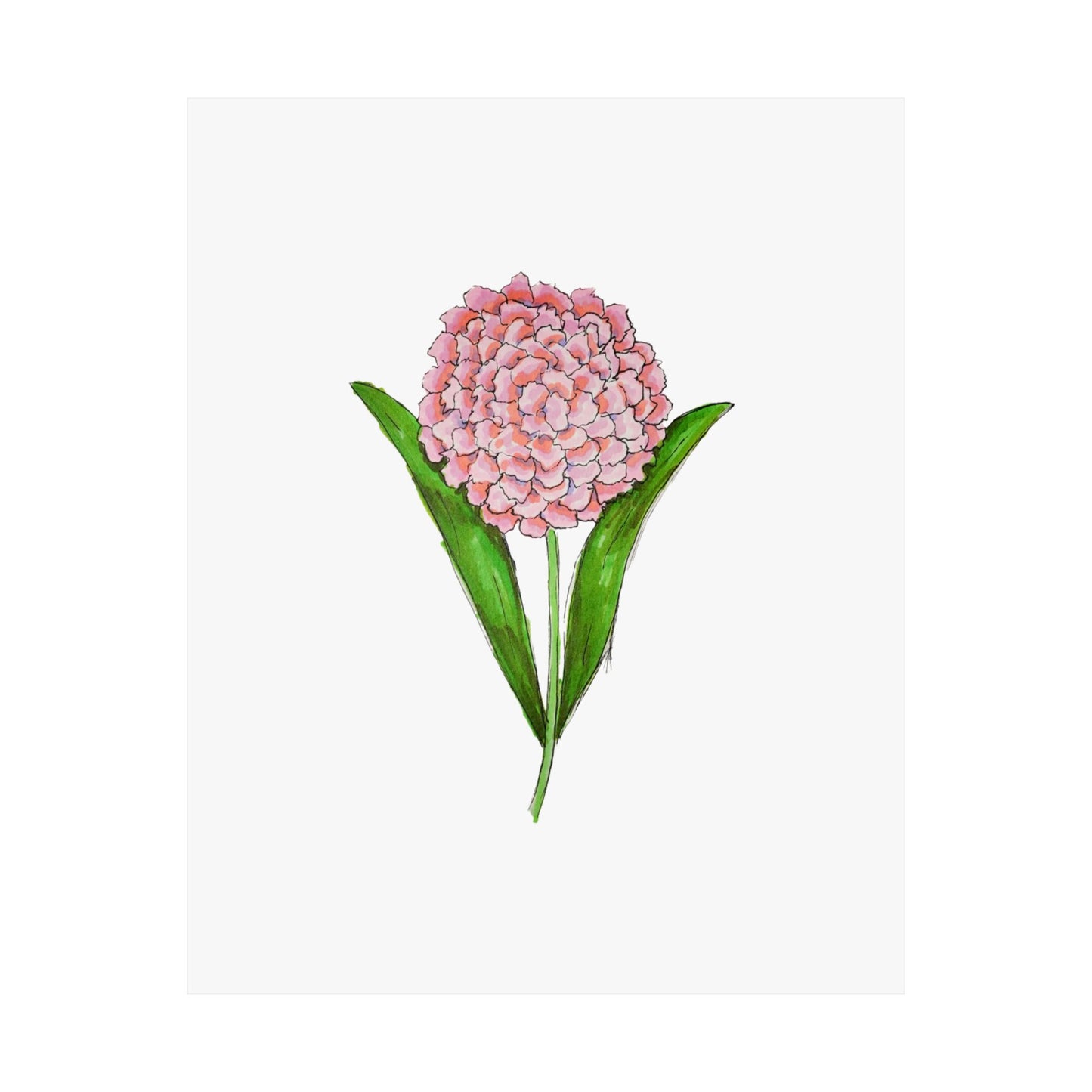 Pink Petals - 8'' x'10'' print